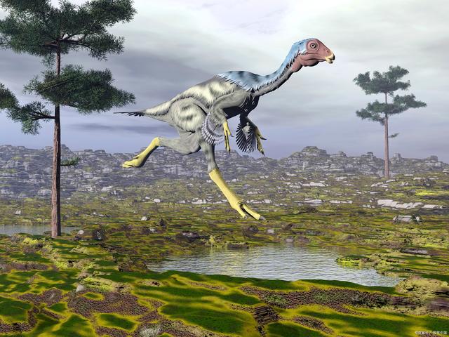 刚果恐龙 刚果恐龙照片曝光