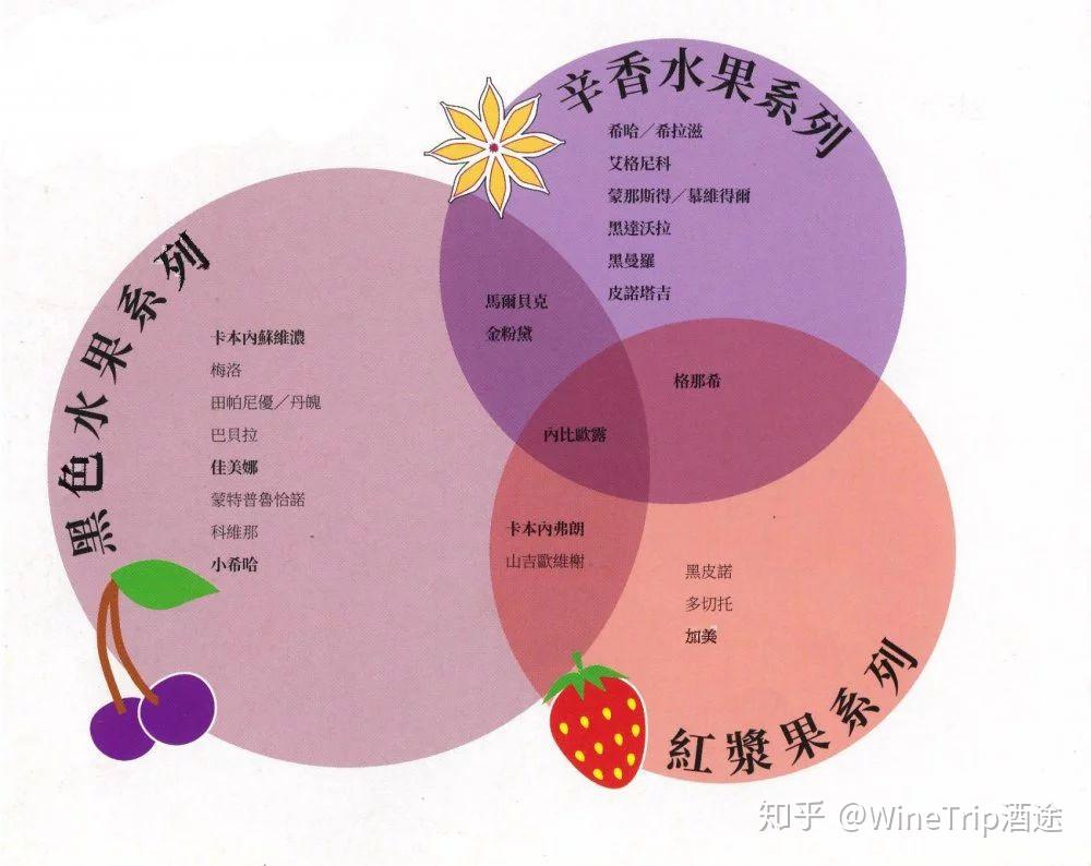 葡萄酒品种分类 葡萄酒品种分类标准
